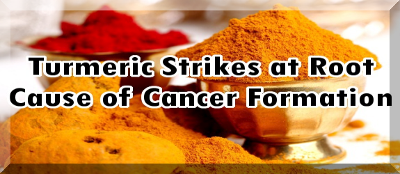 Carcinogen Blocking Brain Cell Regeneration of Turmeric Cancer