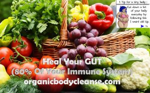 CANCER Heal Your GUT (80% Immune System)