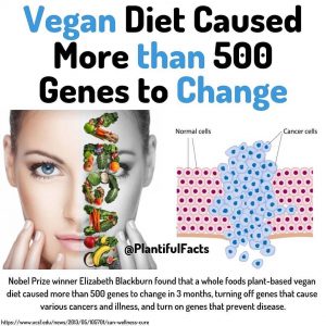 Vegan Diet Caused More Than 500 Genes To Change