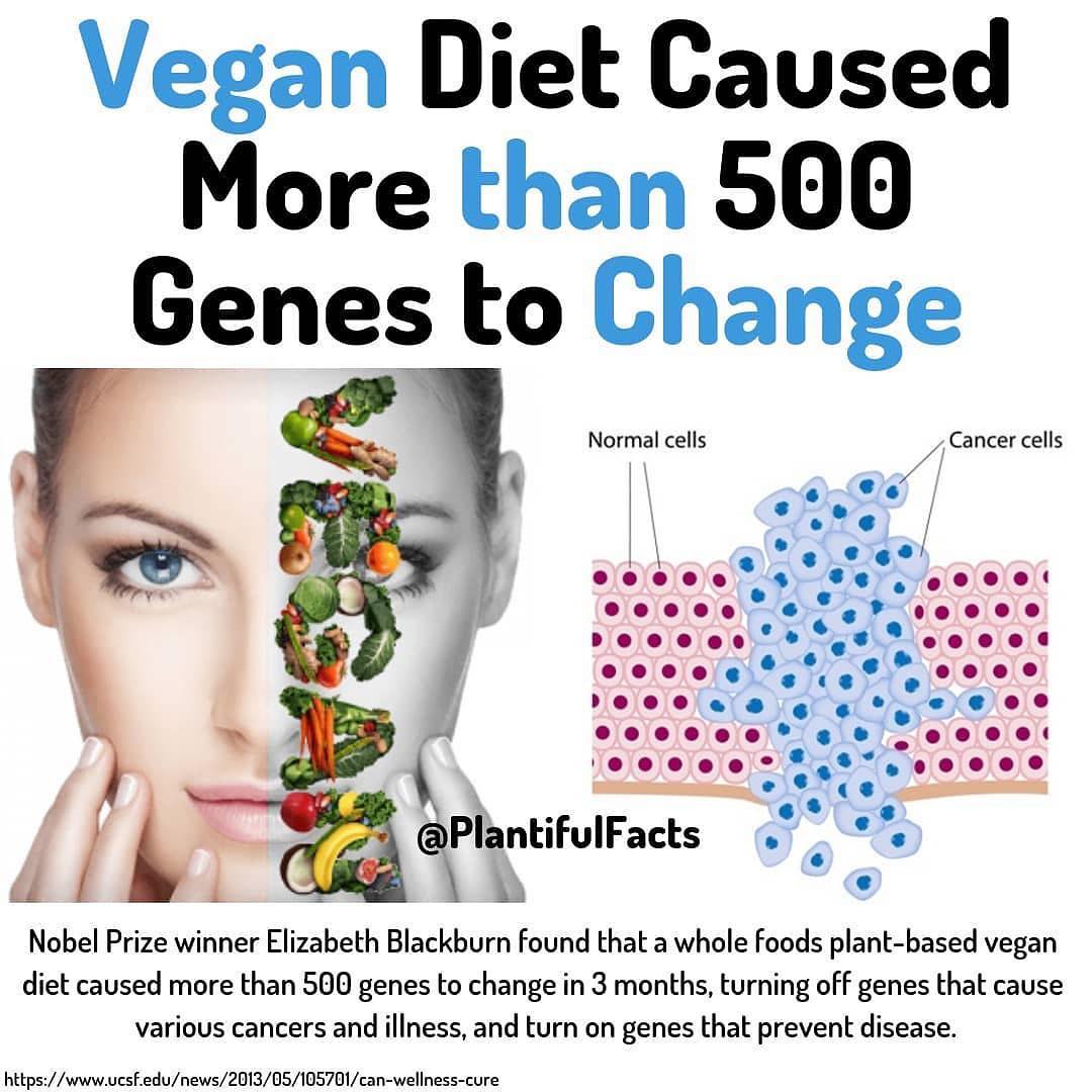 Study Vegan Diet Causes More Than 500 Genes to Change in 3 Months