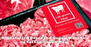 Bill Gates Jeff Bezos and Google Want You to Eat Lab-Grown Meat