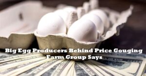 Big Egg Producers Behind Price Gouging Farm Group Says